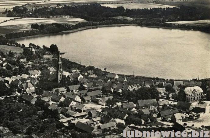 lubniewice pl