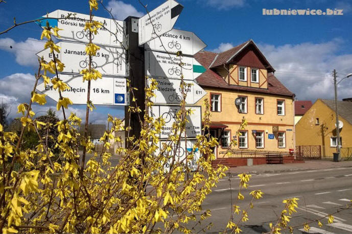 lubniewice poland